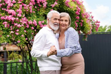 Güzel yaşlı çift, açık havada pembe güllerin arasında dans ediyor.