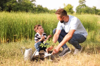 Baba ve oğlu dışarıda toprağa ağaç dikiyorlar.