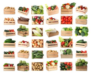 Beyaz arka planda tahta sandıklarda farklı taze sebzeler, kolaj.
