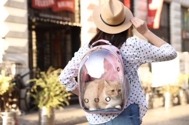 Sırt çantasındaki kedisiyle şehir caddesinde, arka manzaralı bir kadın.