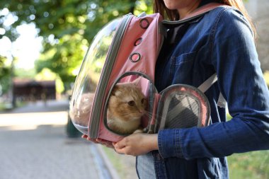 Sırt çantasında kedisi olan bir kadın parkta, yakın plan.