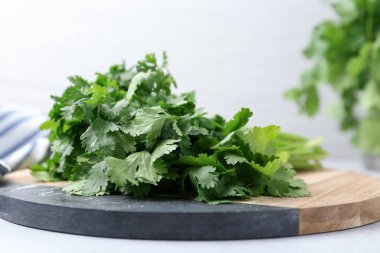 Işık masasında taze yeşil kişniş, yakın plan.