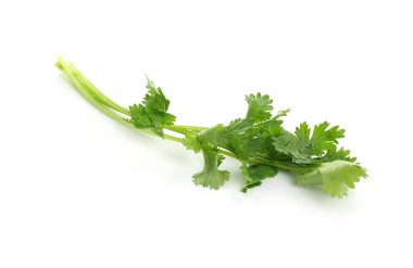 Beyaz üzerine izole edilmiş aromatik kişniş karışımları.