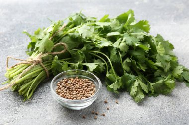 Gri masada taze kişniş yaprağı ve kişniş tohumu, yakın plan.