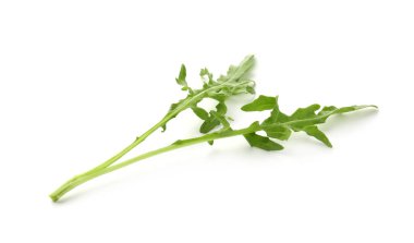 Taze yeşil roka yaprakları beyazın üzerinde izole.