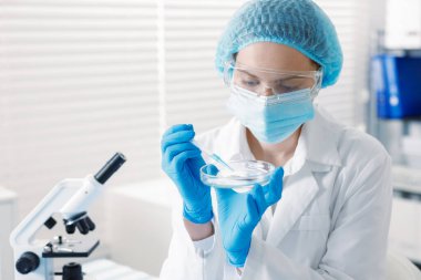 Laboratuvarda Petri kabında numuneyle çalışan bilim adamı