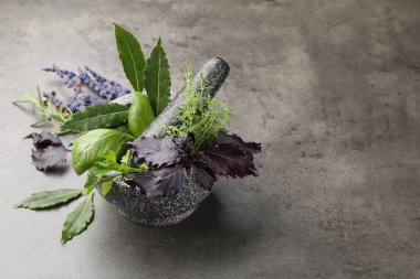 Kabuklu havan, farklı aromatik otlar ve gri masadaki baharatlar. Metin için boşluk