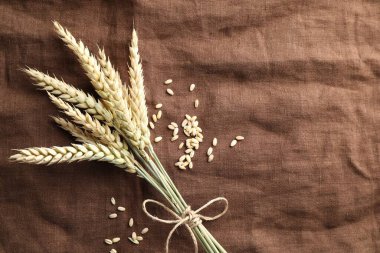 Kahverengi kumaş üzerinde buğday başakları ve tahıllar var. Metin için boşluk