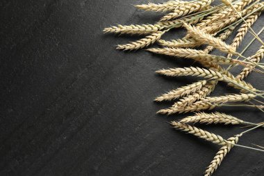Siyah masanın üzerinde buğday çivileri var, düz yerde. Metin için boşluk