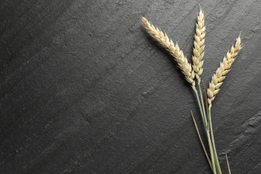 Siyah masanın üzerinde buğday çivileri var, düz yerde. Metin için boşluk
