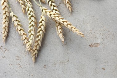 Açık gri masadaki bir sürü buğday çivisi düzdü. Metin için boşluk