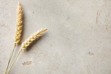 Açık gri masadaki buğday çivileri düzdü. Metin için boşluk