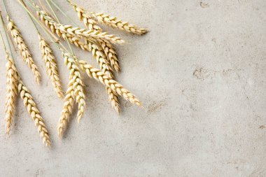 Açık gri masadaki bir sürü buğday çivisi düzdü. Metin için boşluk