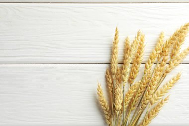 Beyaz ahşap masada bir sürü buğday çivisi var. Metin için boşluk