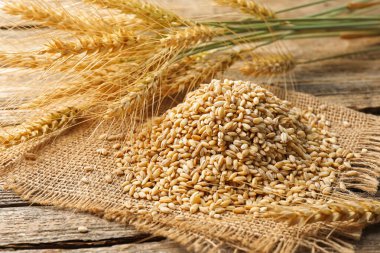 Tahta masadaki buğday filizi ve tahıllar, yakın plan.