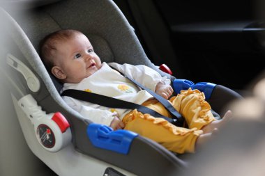 Bebek koltuğuna bağlanmış şirin bir bebek.