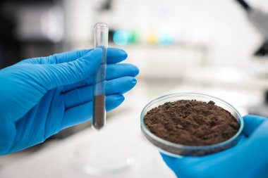 Laboratuvarda Petri kabını toprak örneği ve test tüpüyle tutan bilim adamı, yakın plan.