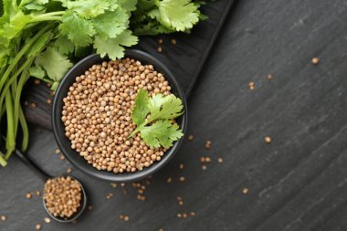 Kase içinde kişniş tohumları, kaşık ve taze kişniş yaprakları koyu dokulu masa, düz yatak. Metin için boşluk