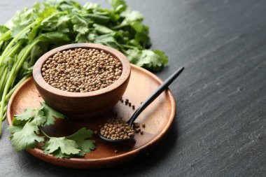 Kasedeki kişniş tohumları, kaşık ve taze kişniş yaprakları koyu dokulu masada, yakın plan. Metin için boşluk