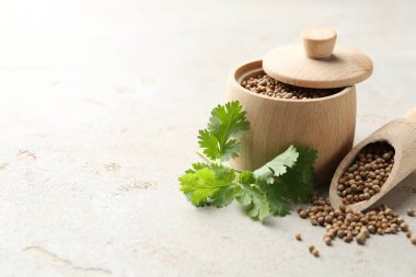 Kişniş tohumu ve taze kişniş filizi açık dokulu masa, yakın plan. Metin için boşluk