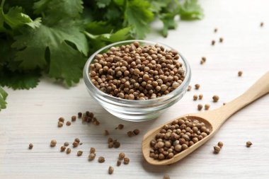 Kase içinde kişniş tohumları, kaşık ve taze kişniş yaprakları açık ahşap masa üzerinde, yakın plan.