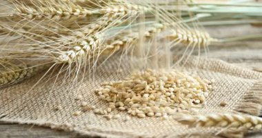 Masaya buğday taneleri ve çiviler dökülüyor, yakın plan.