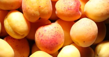 Arka plan olarak tatlı, ıslak kayısılar, üst manzara.