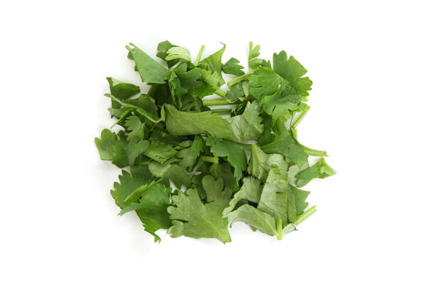 Листья свежей кинзы изолированы на белом, вид сверху