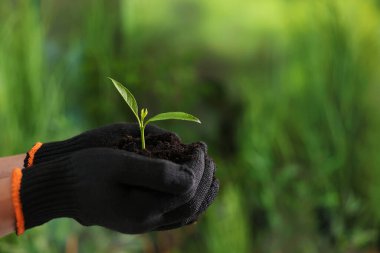 Ağaç dikiyorum. Dışarıda tohum tohumu tutan bir adam, yakın plan. Metin için boşluk