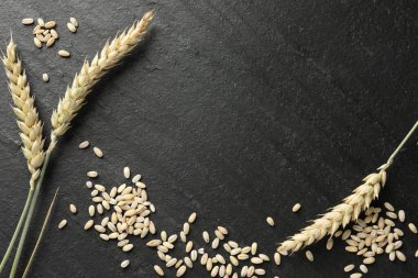 Buğday filizi ve tahıllar siyah masada, düz yerde. Metin için boşluk