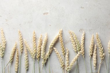 Açık gri masadaki bir sürü buğday çivisi düzdü. Metin için boşluk