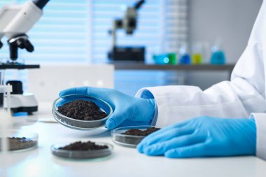 Petri kabını elinde tutan bilim adamı kapalı alanda beyaz masada toprak örneği, yakın plan