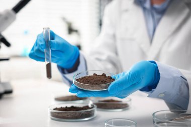 Petri kabını elinde toprak numunesi ve test tüpüyle tutan bilim adamı laboratuarda, yakın plan.