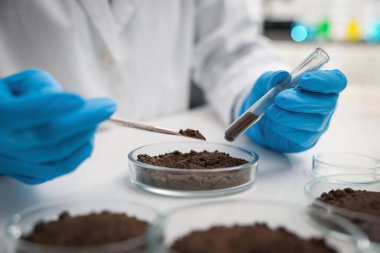 Bilim adamı, laboratuardaki beyaz masada araştırma yapmak için toprak örneği alıyor.