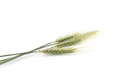 Birçok yeşil buğday, beyaza izole edilmiş.