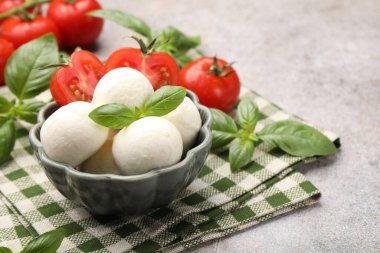 Lezzetli mozzarella peynir topları, domates ve fesleğen, yakın plan. Metin için boşluk