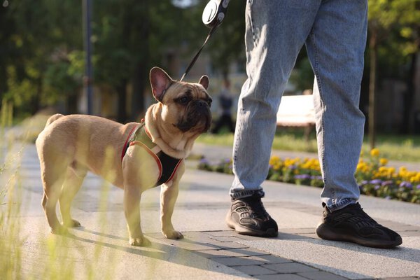 Man with his cute French bulldog in park, closeup