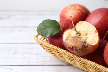 Şımarık elma ve güzel elmalar beyaz ahşap masada, yakın plan. Metin için boşluk