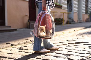 Sırt çantalı kedisi olan bir kadın. Şehir caddesinde, yakın plan.