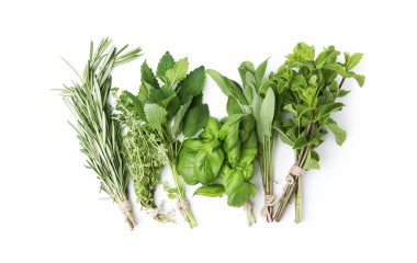 Farklı yeşil otlar, beyaza izole edilmiş, üst manzara.