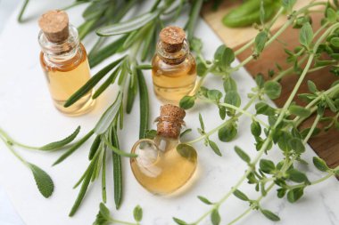 Beyaz mermer masa üzerinde gerekli yağ ve otlardan oluşan şişeler düzdü.