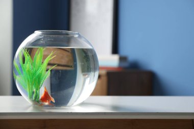 Yuvarlak akvaryumda beyaz masada güzel bir akvaryum balığı. Metin için boşluk