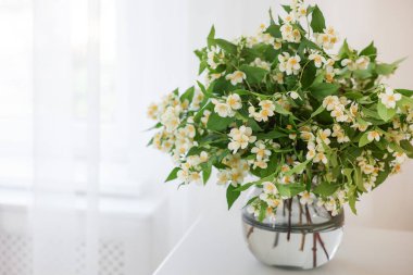 Pencerenin yanındaki beyaz masada vazoda güzel yasemin çiçekleri, yakın plan. Metin için boşluk