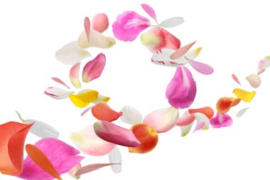 Beyaz arka planda uçuşan güzel çiçek yaprakları