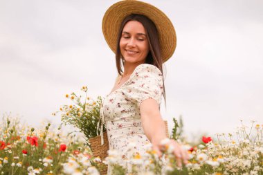 Şapkalı gülümseyen kadın papatya çiçeklerine dokunuyor.