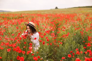 Şapkalı güzel kadın kır çiçeklerindeki kırmızı gelincik çiçeklerini kokluyor.