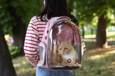 Sırt çantasında kedisi olan bir kadın parkta, yakın plan.