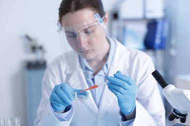 Laboratuvar ve seçici odak noktasında Petri kabında numuneyle çalışan bilim adamı