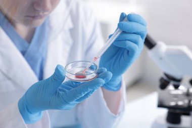 Petri kabında numuneyle çalışan bilim adamı, laboratuvarda, yakın plan.