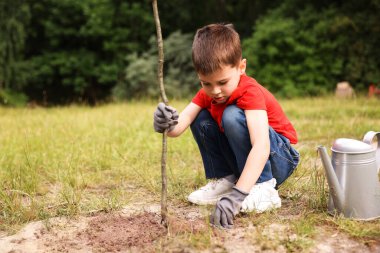 Küçük çocuk dışarıda toprağa ağaç dikiyor.